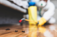 Person in protective gear using a pest control spray to exterminate cockroaches on a wooden floor.